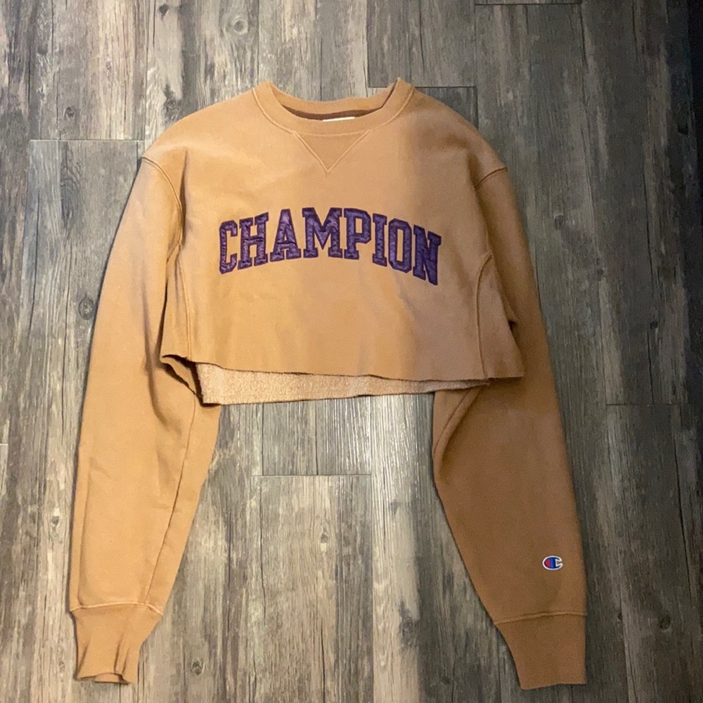 Champion Cropped Sweater XS